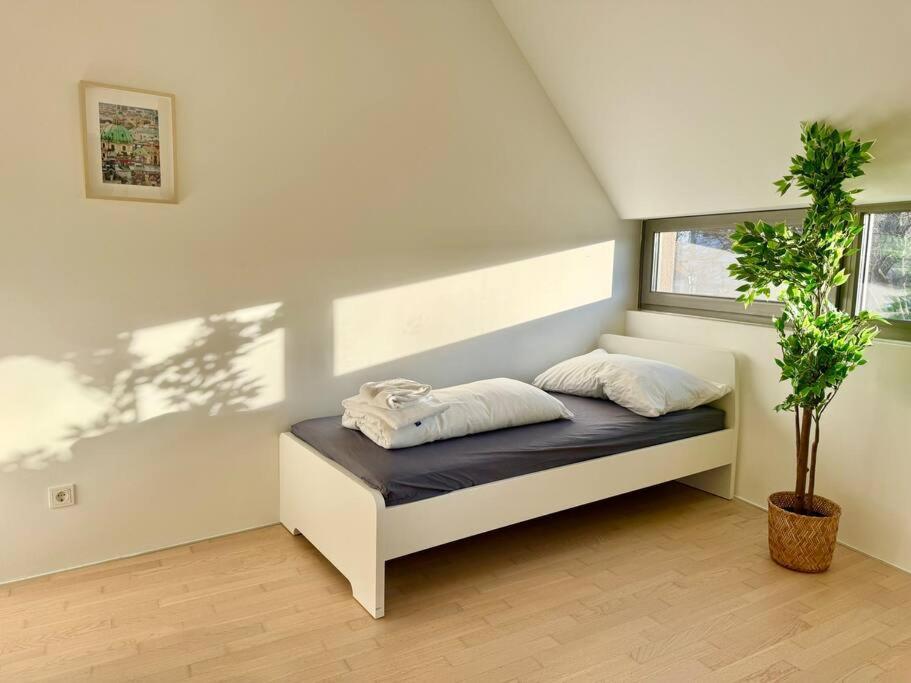 Bright Maisonette With Garden
